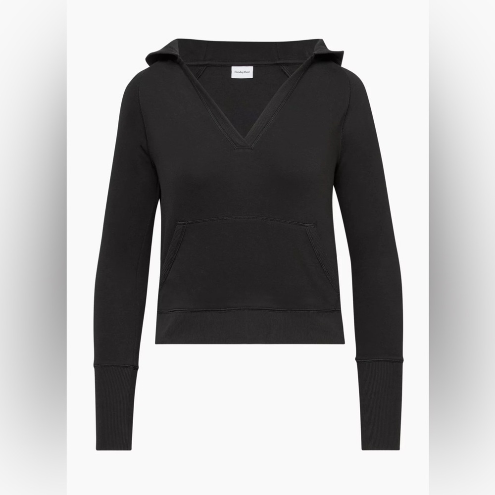 Aritzia Sunday Best Hoodie